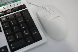 聯(lián)想C305舒適型3250e一體電腦 視覺(jué)與性能的和諧統(tǒng)一